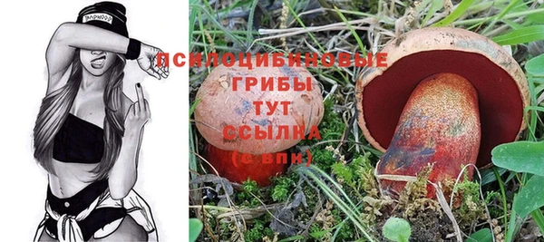 ALPHA PVP Волоколамск