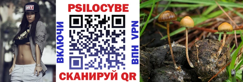 Галлюциногенные грибы Cubensis  гидра ссылки  Самара 